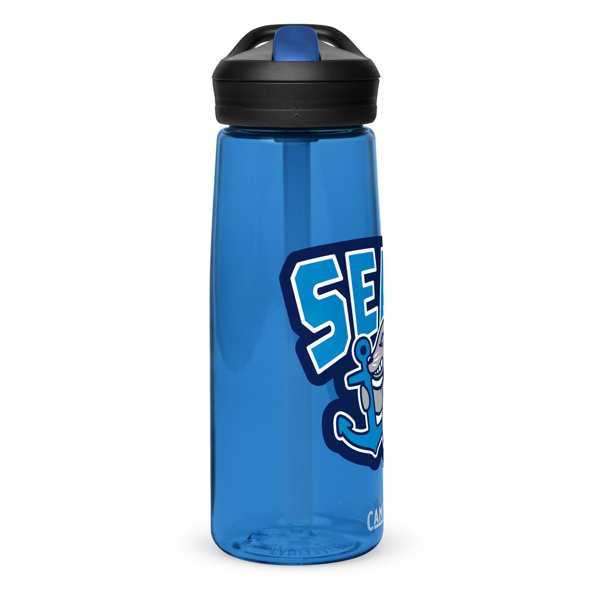 Sports water bottle